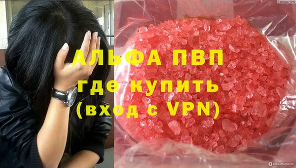 гашик Алексеевка