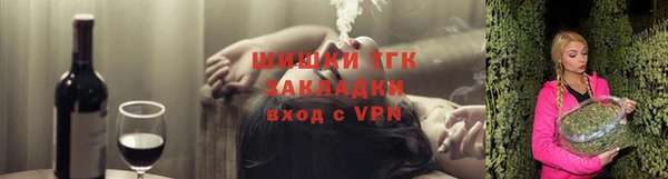 гашик Алексеевка