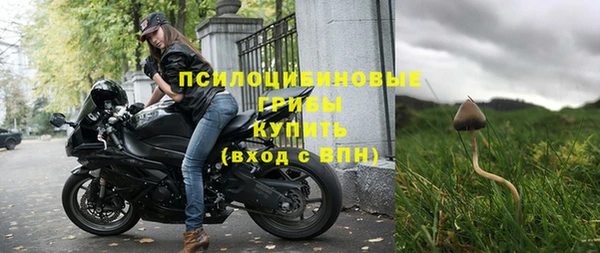 apvp Алзамай