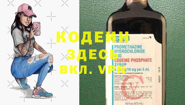 apvp Алзамай